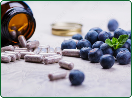 Read more about the article Thriving In The Quest For Optimal Well-Being, How The Supplement Market Is Changing The Narrative